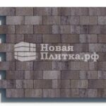 Тротуарная плитка Кирпич Б.2.П.8см 200х100х80 гладкий листопад Хаски